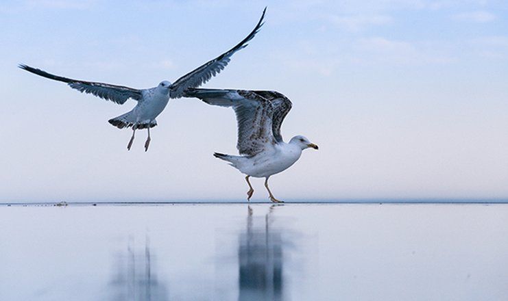 СПА-отель "Ливадийский" Ялта
